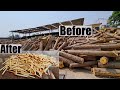 Amazing Matches Production Process | Inside Match Factory | Mubashir Saddique | Village Food Secrets