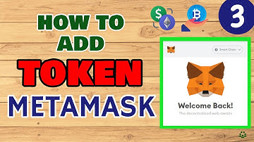 MetaMask Wallet Tutorial: How to Add Token in MetaMask [DPET or SLP Token] - Token not Showing