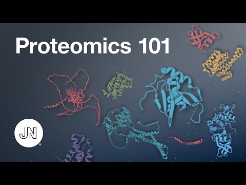 ვიდეო: რომელია უფრო დიდი პროტეომი გენომთან შედარებით?