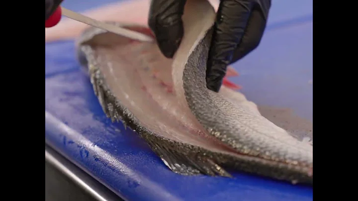 How to fillet Seabass - FISH TUTORIAL