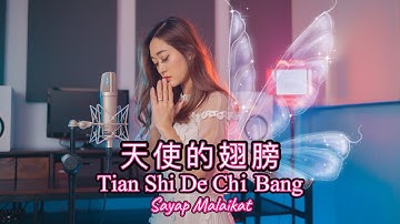 Tian Shi De Chi Bang 天使的翅膀 Helen Huang Coer - Lagu Mandarin Lirik Terjemahan