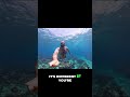 Fishing For Survival vs. Saving Coral Reefs: What's Right? #shorts
