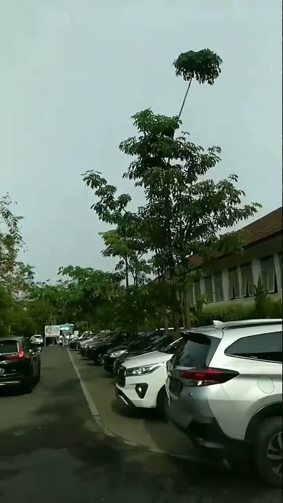 pondok pesantren assyifa boarding school subang