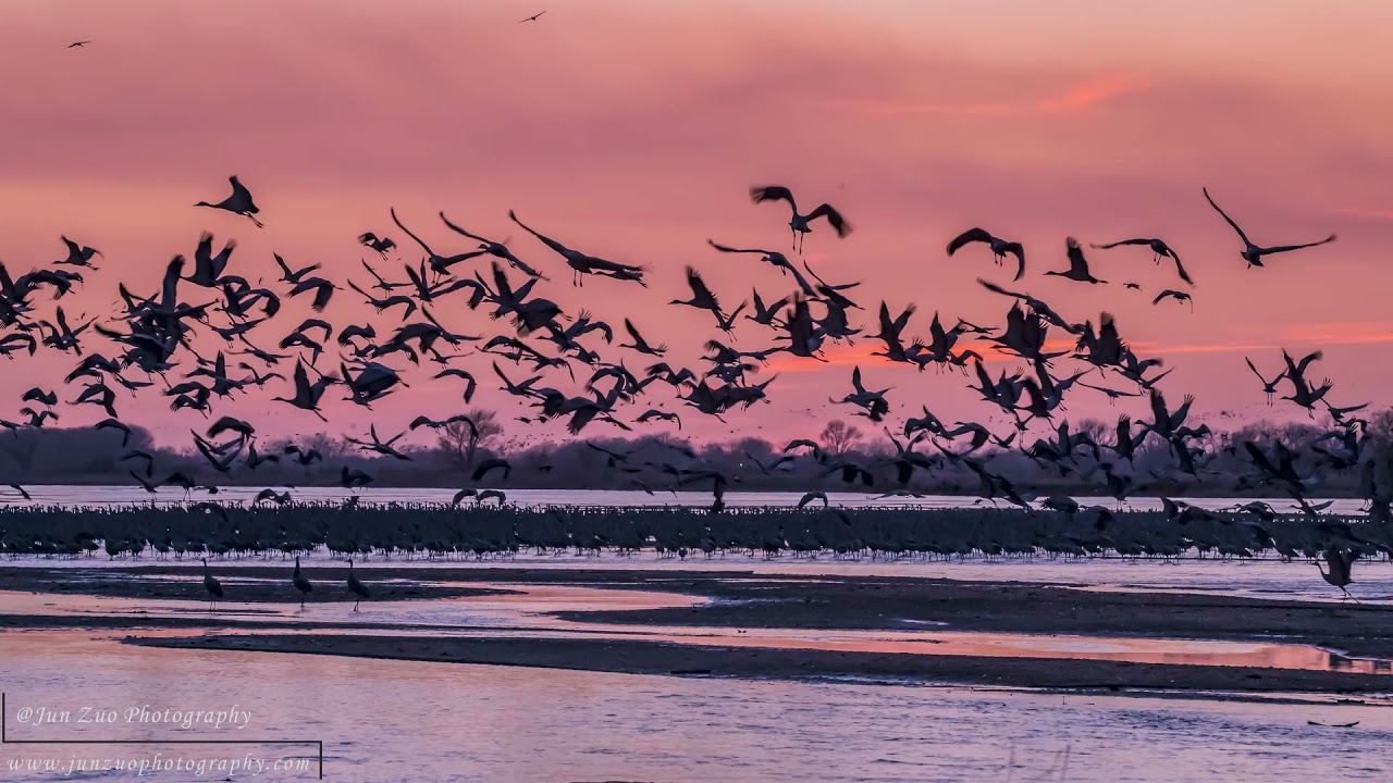 2021 NE Crane TL 1 RR