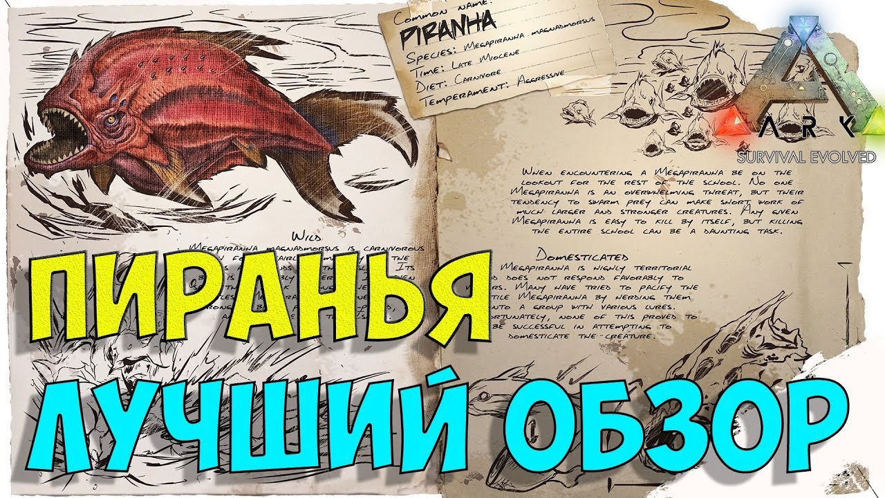 Пиранья (Piranha) в АРК. Лучший обзор: приручение и особенности  в ark.