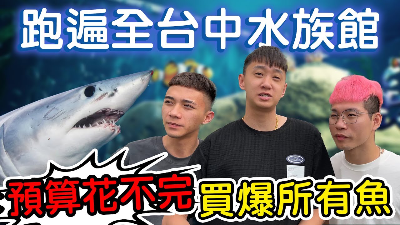 【89教科書】創造全台灣最屌的海底世界! 我們跑遍全台中市的水族館把所有很屌的魚買下來! 