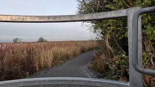 7 Day Walk | Audio Visual Essay 