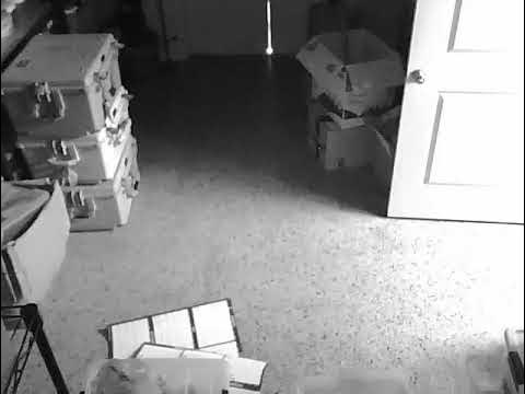 Calendar moves on its own in Haunted Museum April 30 2023 11:50am