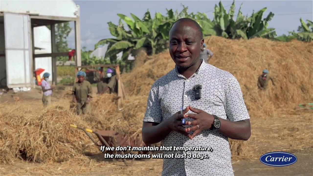 The Kigali Farms Mushrooms Story - East Africa