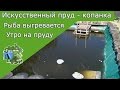 Искусственный пруд утром . Рыба греется на солнце и кушает хлеб . Искусственный пруд своими руками