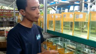 HERE'S THE RECIPE TO KEEP FISH PERFORMING AT TOP PERFORMANCE