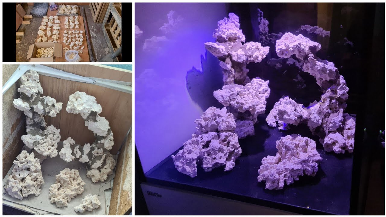 XL200 Reefer Aquascape And My Top 5 Aquascaping Tips!