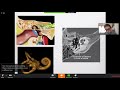 Pediatric neuroradiology lectures temporal bone inflammations by felice darco