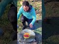 جغول بغول زنجان با شاهی آبی حمید عابدینی آشپزی در طبیعت