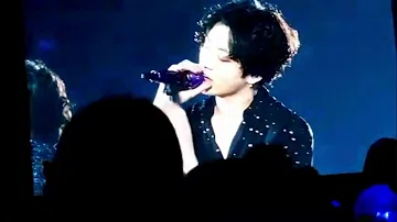 Download Pied Piper Live Full Scren Mp4 Mp3