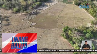 Mga taniman sa Bulalacao, nagkabitak-bitak at natuyo; mga ani, apektado ng El Niño | UB