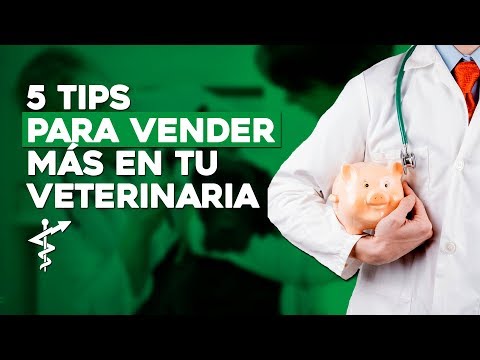 ¿Hay Oportunidades Para Trabajar Por Cuenta Propia Como Veterinario?