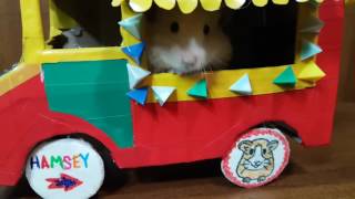 This cute ice cream truck makes the perfect bed and diy toy for hamsey
your hamster! it has 2 sections to explore, an opening door, spinning
wheels, ...