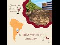 Uruguays way with wine  s14e2