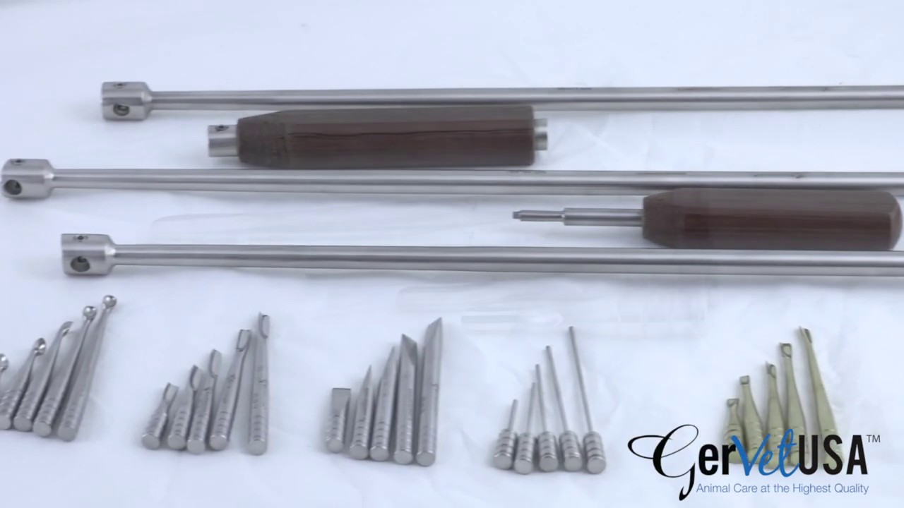 Equine Dental Elevator Kit YouTube