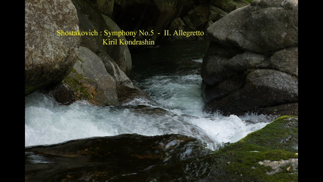 Shostakovich :  Symphony No.5  -  II. Allegretto