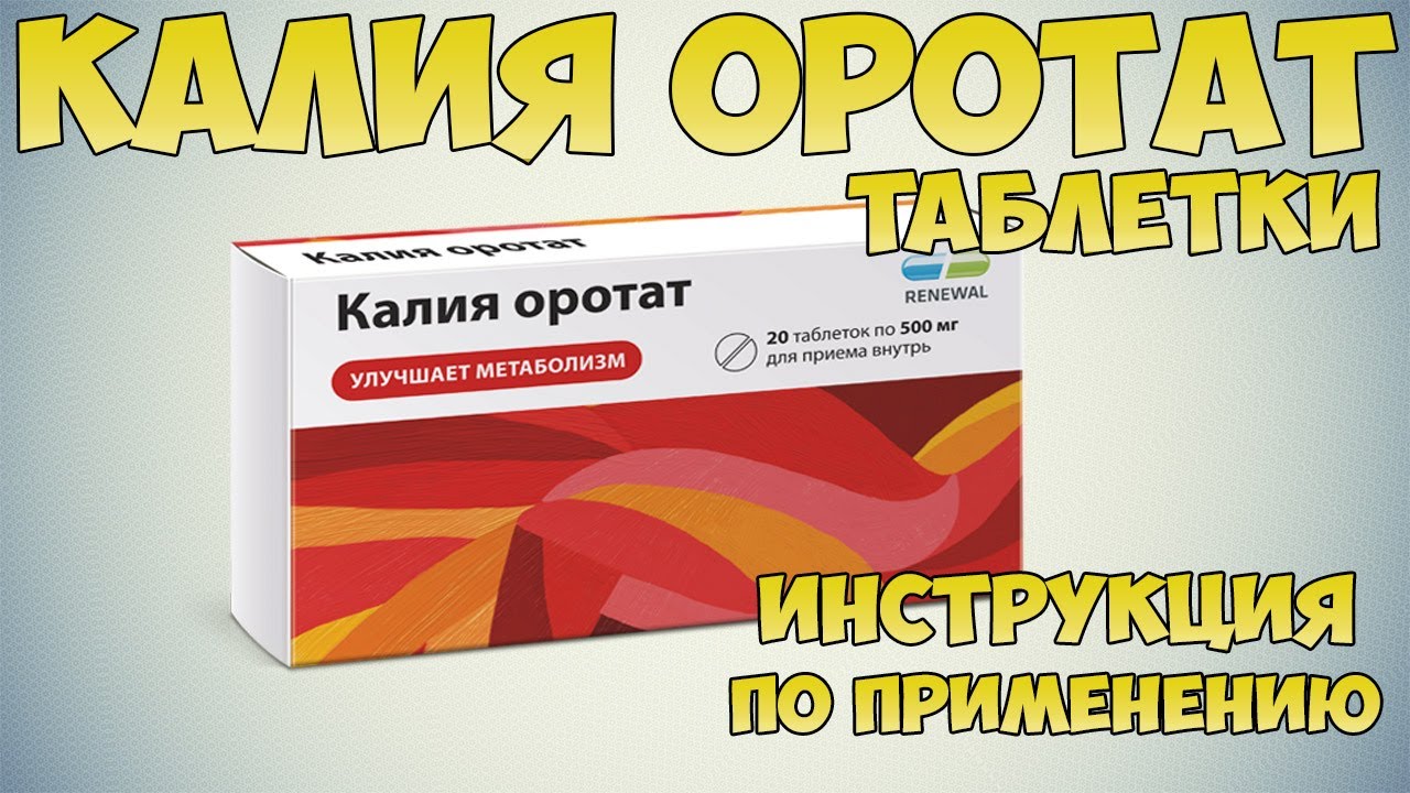Калия оротат таблетки инструкция по применению: при заболеваниях печени .