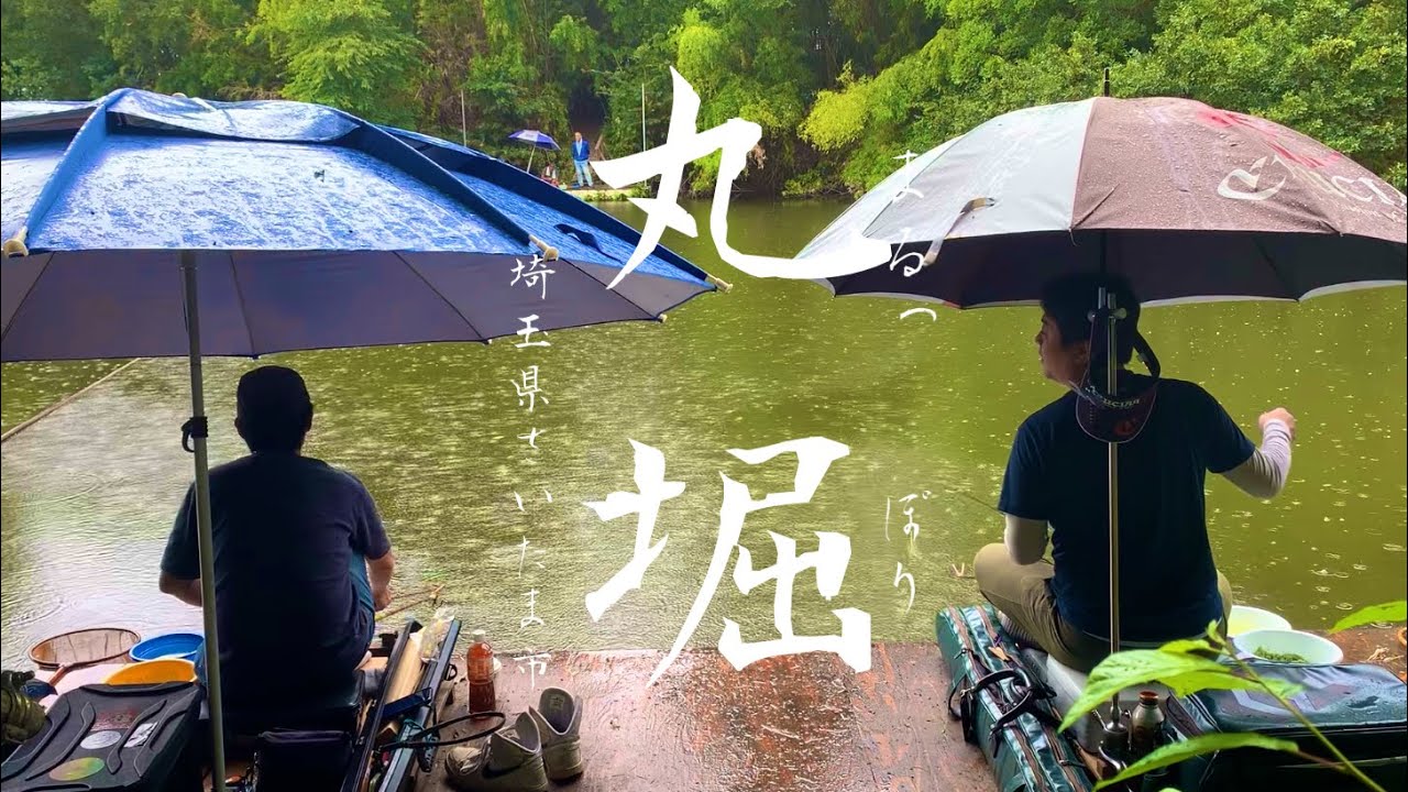 会話が弾むへらぶな釣り 雨の丸堀で狙う良型