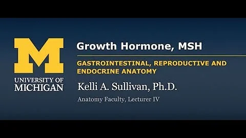 Endocrine System: Growth Hormone - DayDayNews