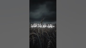 قران كريم #قرآن #quran #اكسبلور #الحمدلله #الرحمن #الظروف #لايك #دويتو #المراه #تيك_توك