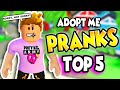 SHE DIDN'T TALK TO ME AFTER THIS!! TOP 5 *INSANE* WAYS To MESS With Your FRIENDS in Roblox ADOPT ME!
