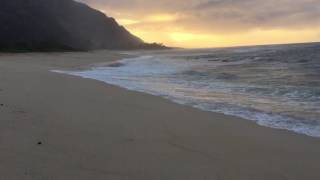 Ocean Waves and Absolutely Beautiful Purple Orange Sunset - North Shore Oahu