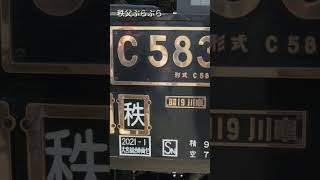 秩父駅でSLを間近に！汽笛と煙の迫力がすごい！