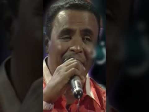 نادر خضر قطر الندي نادر خضر اكسبلور دويتو طرب حالات تصميم فيديوهات Duet تيك توك لايك 