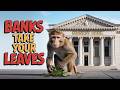 Banks Explained with Bananas: How Banks Work &amp; Make Money #finance #bank #viral @Primateeconomics 