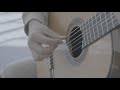 Altamira n500 guitar  product demonstration