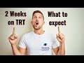 What to expect while on trt  2 weeks on trt in the uk testosterone replacement therapy
