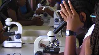 About STEMSVG science