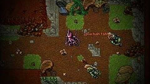 Tibia - Summer Update 