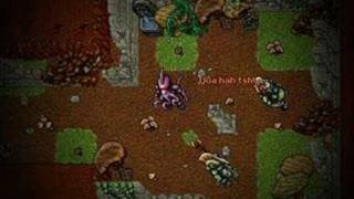 Tibia - Summer Update '06