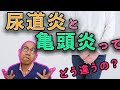 【性感染症】尿道炎と亀頭炎ってどう違うの？？