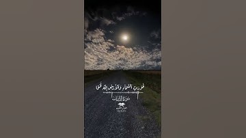 أجمل التلاوات مؤثرة بصوت القارئ حمزة الفار ❤
