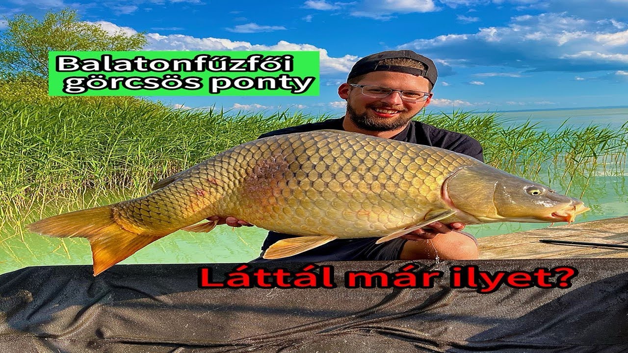 Balaton horgászat behúzós módszerrel. - YouTube