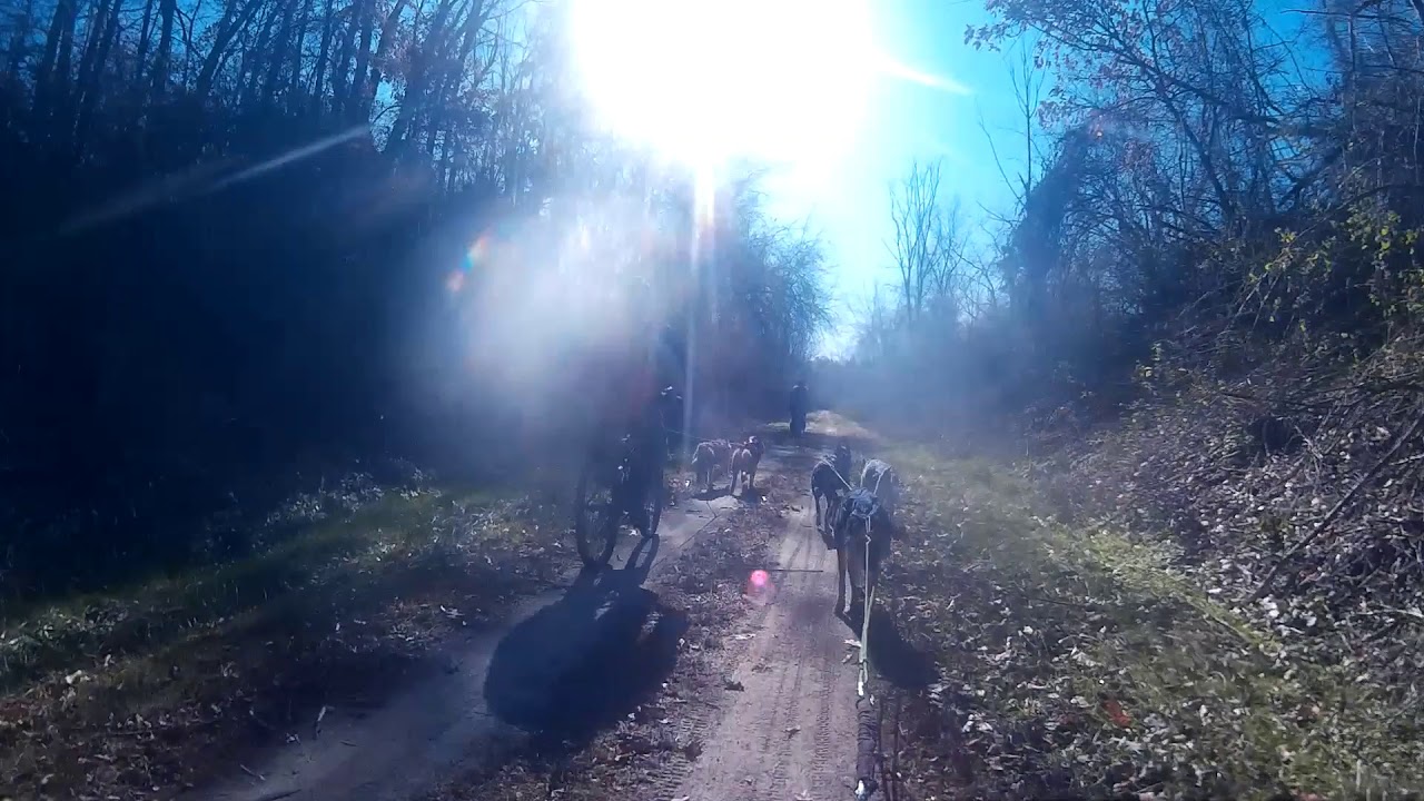 111719 Group run boggs montour YouTube