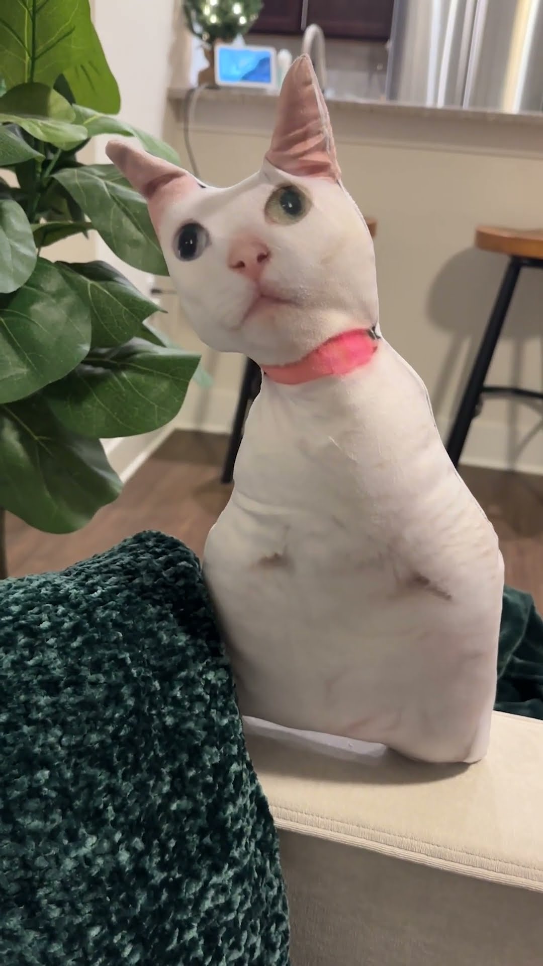 The Ugly Cat Pillow That Your Cat Will Love Or Hate | The Pack