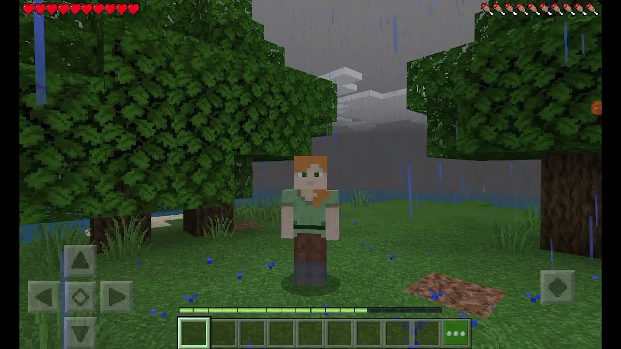 Minecraft'ta ADADA hayatta kalma (Mükemmel bir seed)