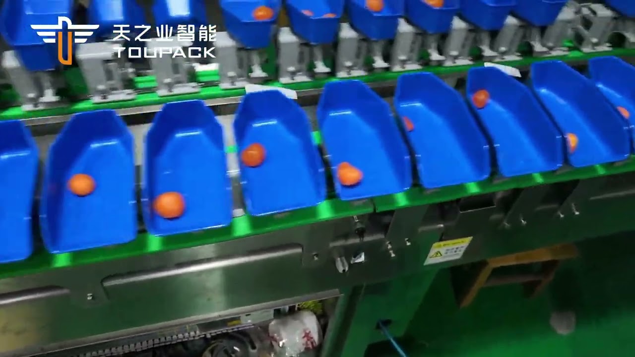 Circular Multi-Weight Sorting Machine》》》egg yolk sorting