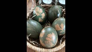 Eggs dyed with herbs and red cabbage decoction