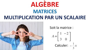 178. ALGÈBRE: Matrices (multiplication por un scalaire)