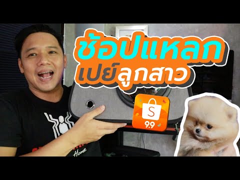 รวมของน้องหมา น่าซื้อราคาถูกสุดๆใน Shopee l T3B