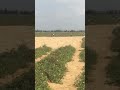 ارض زراعية منتجة للبيع علي طريق مصر اسكندرية الصحراوي